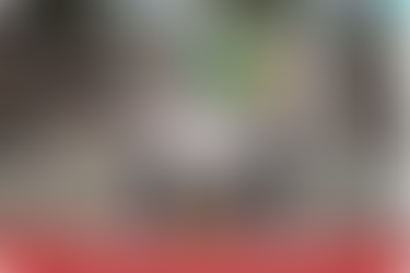 INFORMA CAMPS - 41ª edição