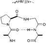 Elastin Amino Acid