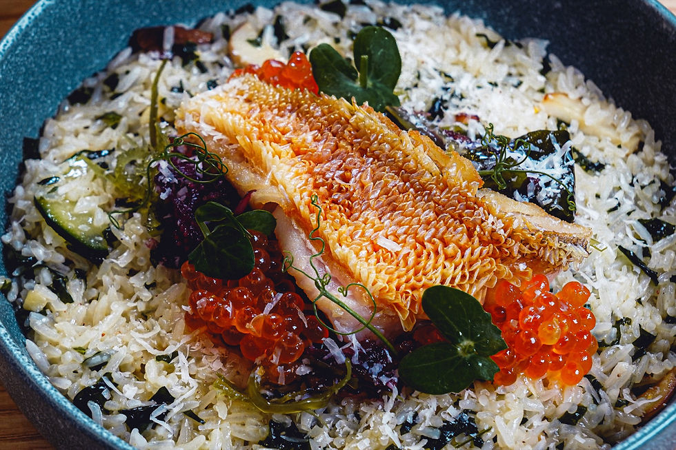 立鱗燒馬頭魚燉飯(限量)