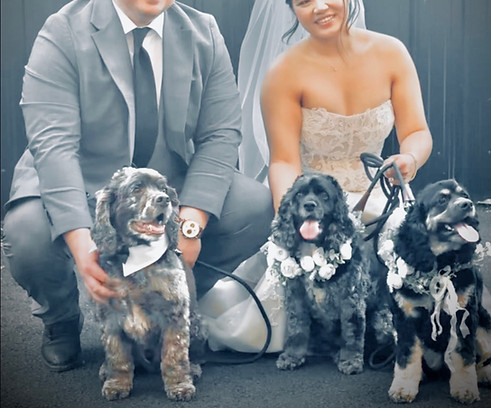 Wedding Pet Handler and Concierge