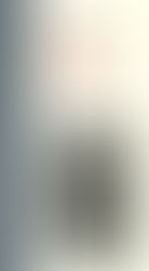 Ogres, de Yann Verburgh