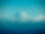 IMG_2305.jpeg