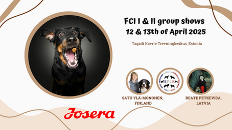 FCI I & II group show on 12th and 13th of April 2025