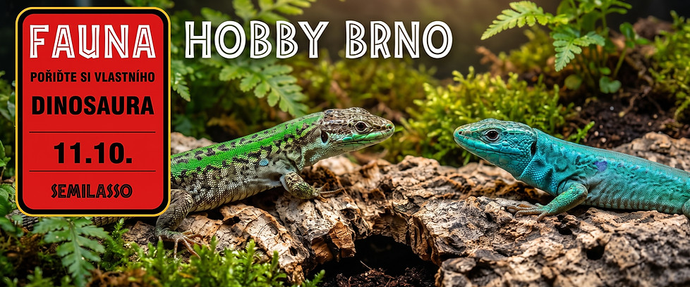 banner.jpeg