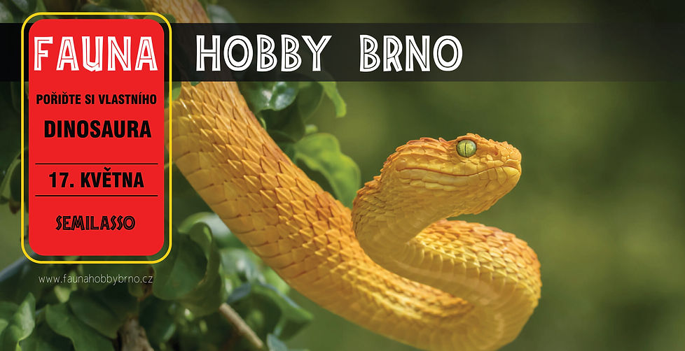 BANNER26KvetenVelky.jpg