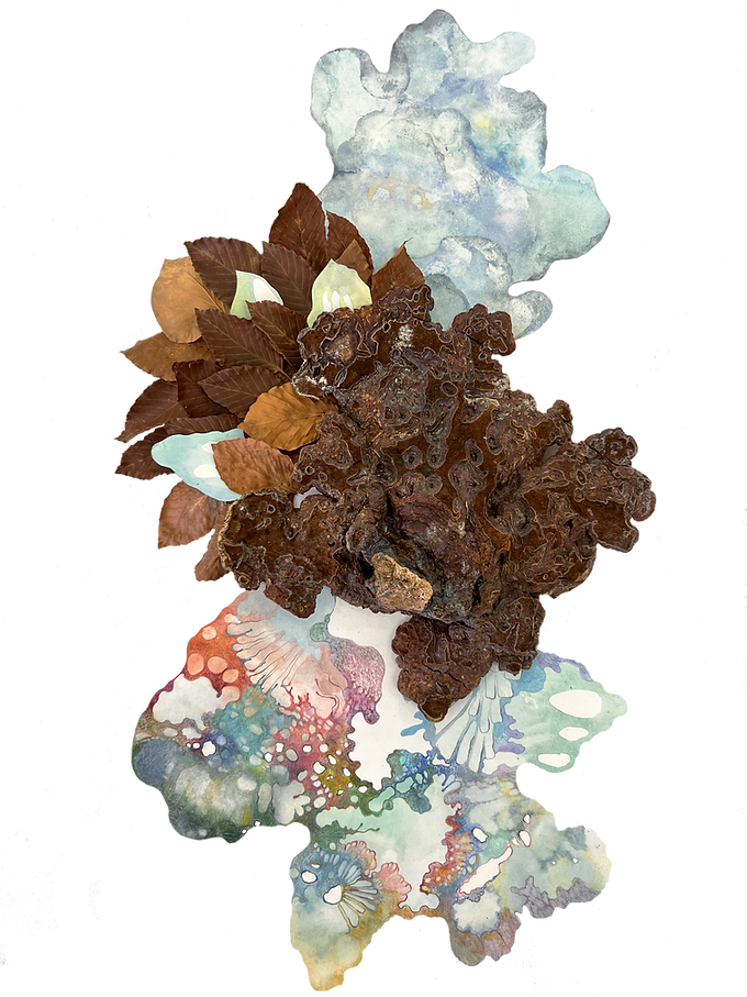 CHAMPIGNONTRANSPARENT.png