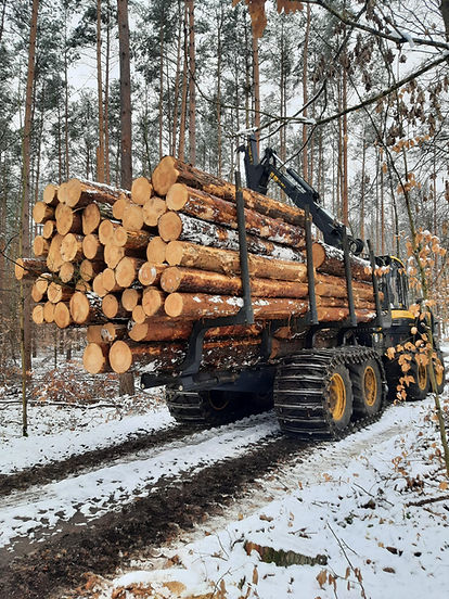 WhatsApp Bild 2025-11-06 um 17.56.37_f6ae04bd.jpg