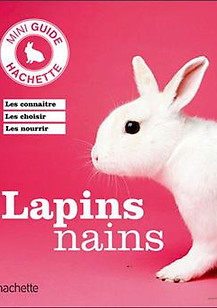 Lapin-nain.jpg