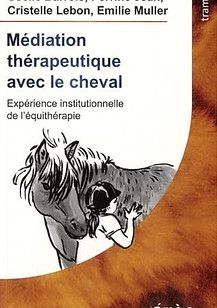 Mediation Therapeutique Cheval.jpg