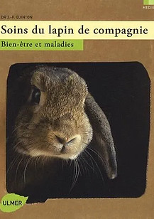 Soins-du-lapin-de-compagnie.jpg