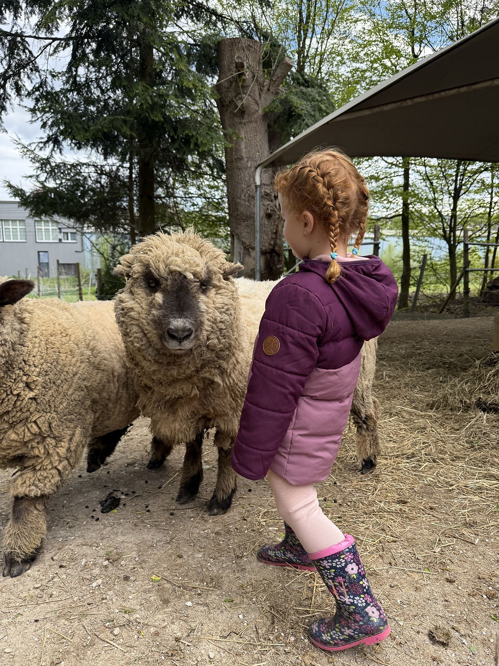 Hof-Abenteuer – Für Kinder von 5 bis 8 Jahren