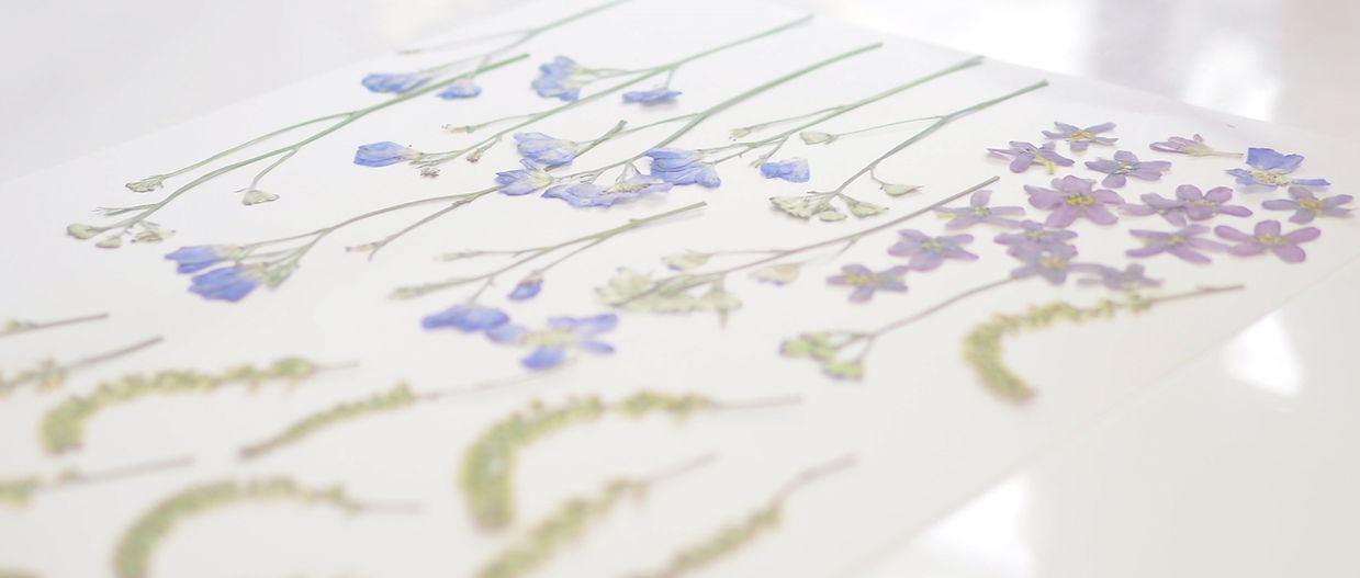 P1015686 (1)_edited.jpg