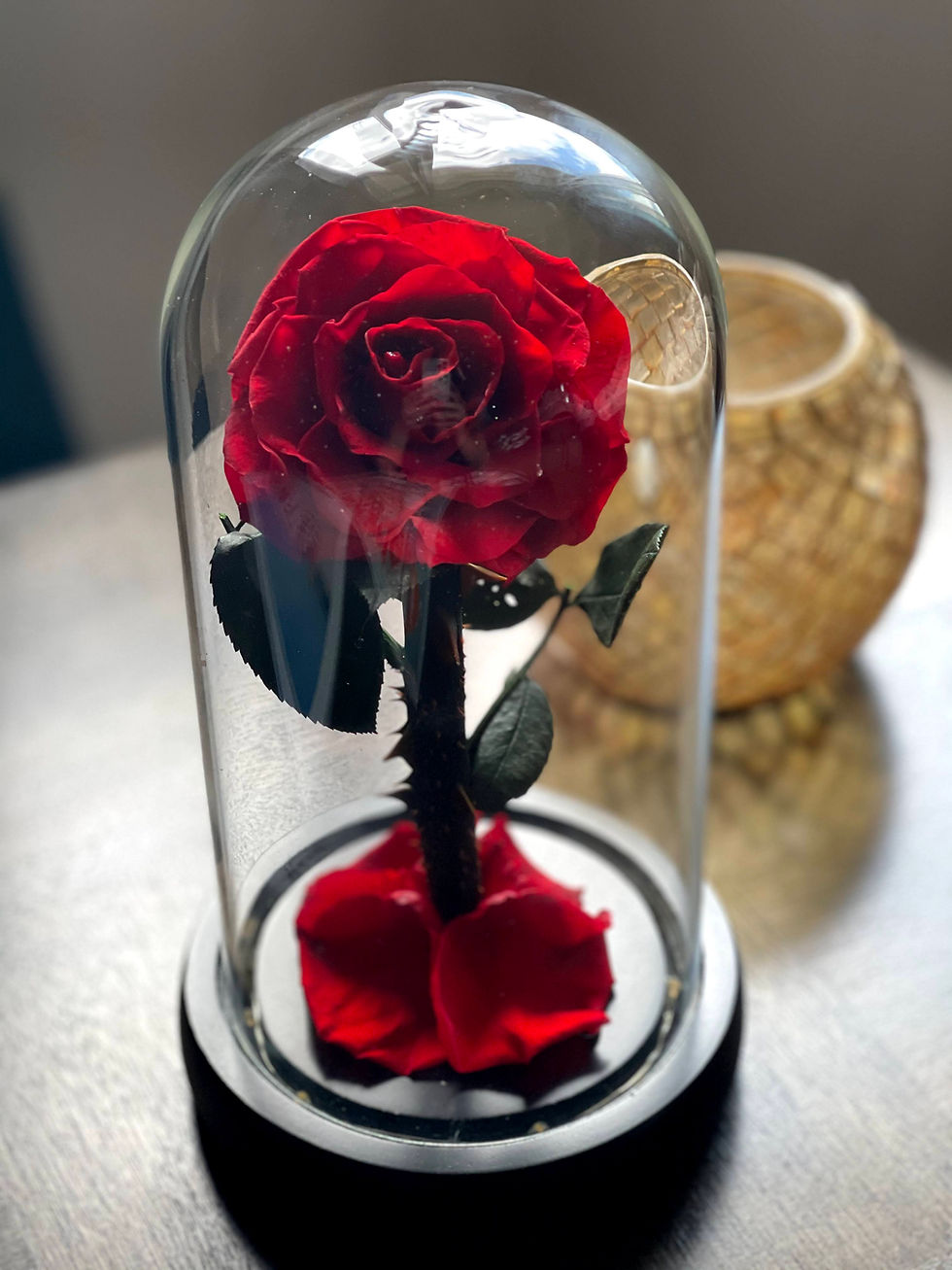 Thumbnail: Red Preserved Rose in a Glass Dome