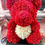 Thumbnail: Rose Bears