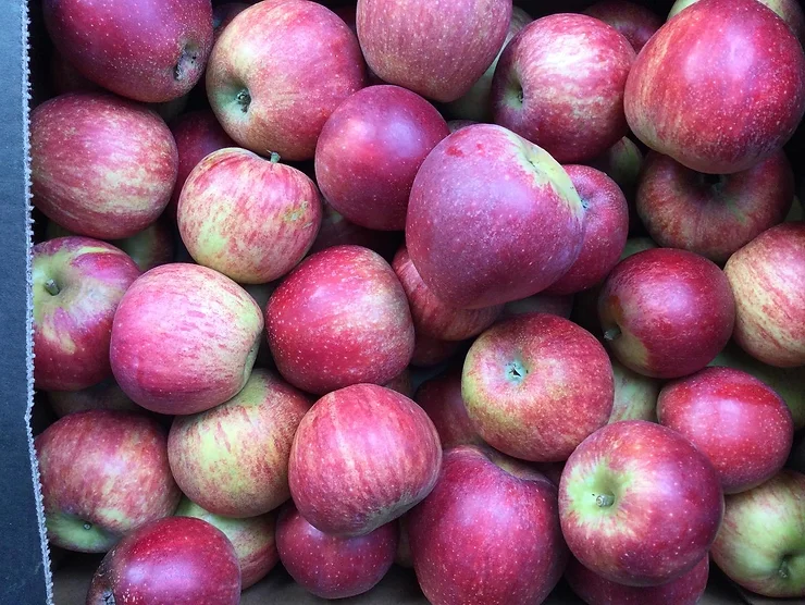 Red Windsor apples, the best ones are the bright red ones... So sweet and flavoursome.