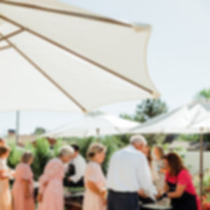Outdoor Umbrellas (with stands)