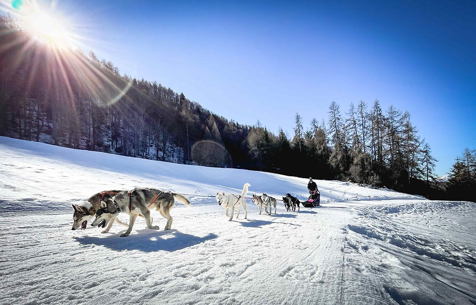 BEST winter activities in Finland