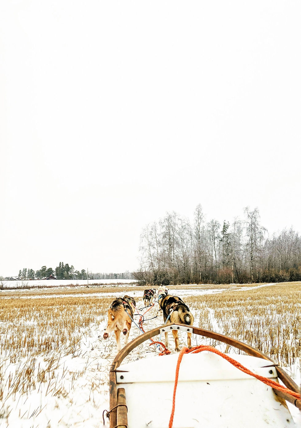 BEST winter activities in Finland