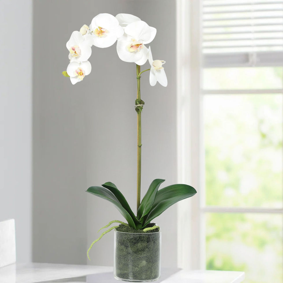 Miniatura: Artificial Orchid Plant in Vase - 20"