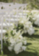 image_t8n0efiWZJ_5eba761a66c500943ad384a502d86fbc_edited.jpg
