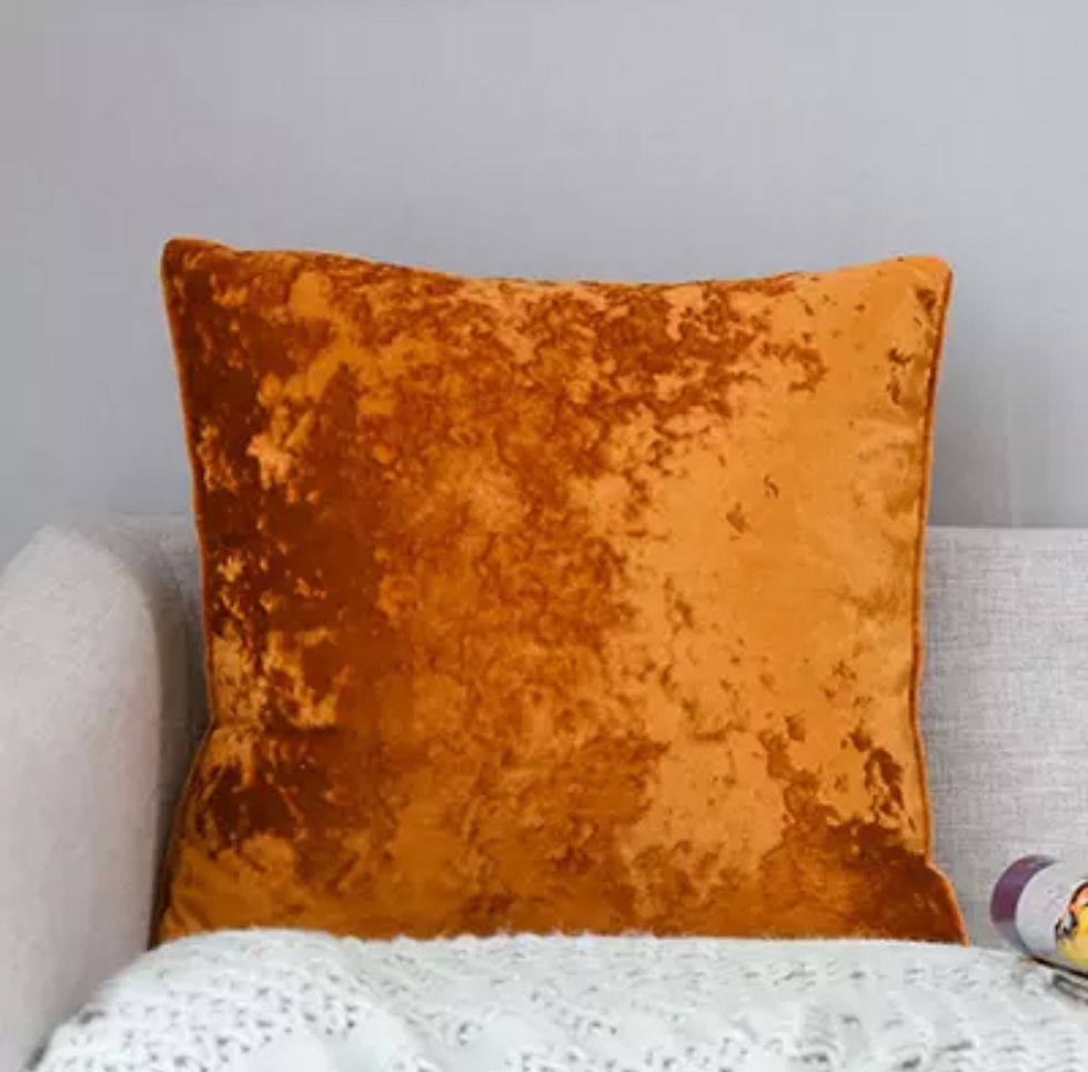 Miniature : Housses de coussin en peluche 50 cm x 50 cm