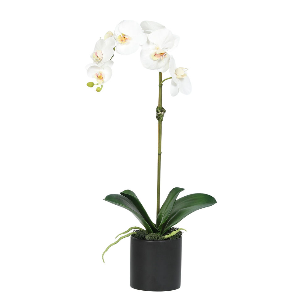 Miniatura: Artificial Orchid Plant in Vase - 20"