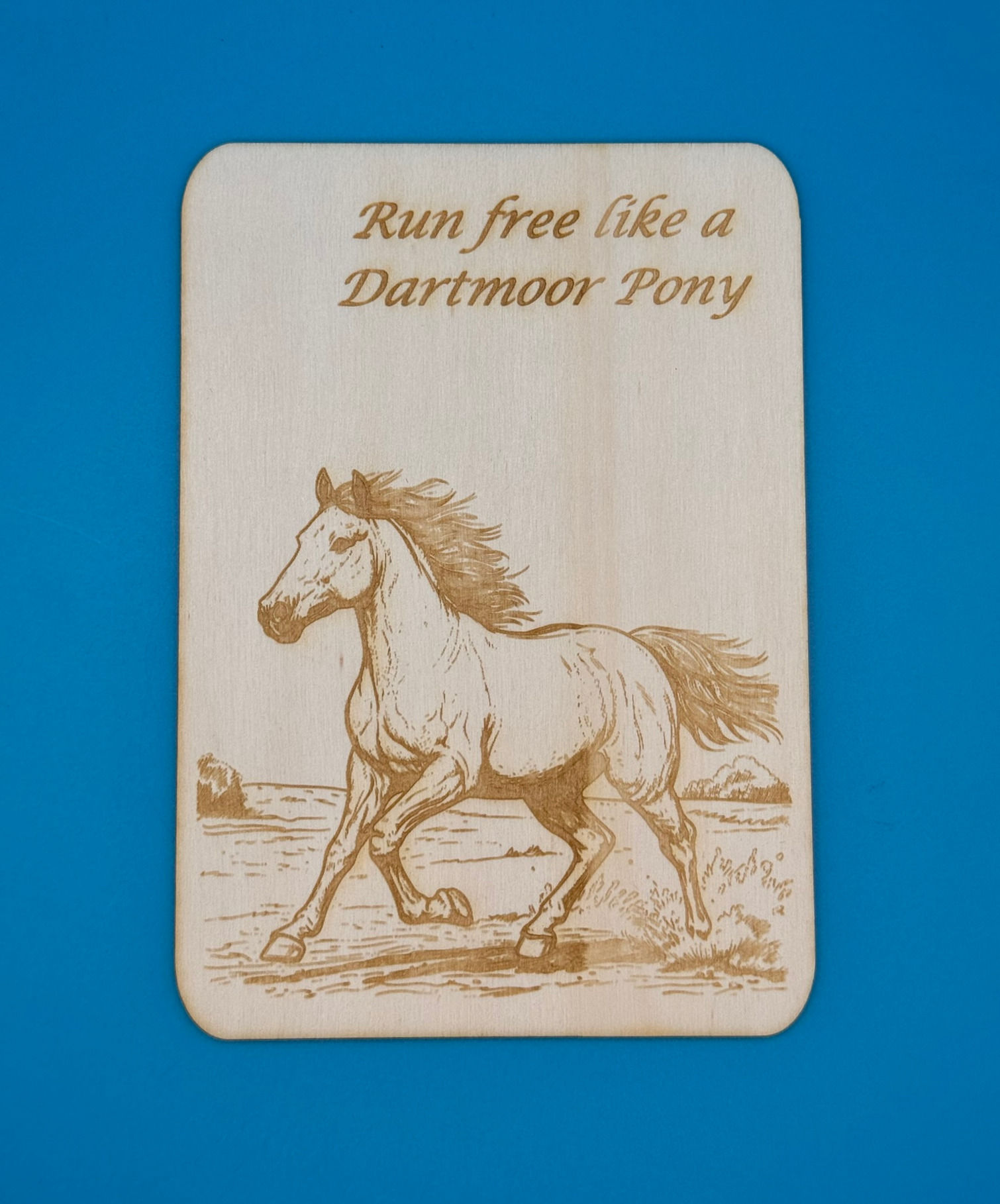 Greetings Postcard From - Dartmoor Pony Run Free