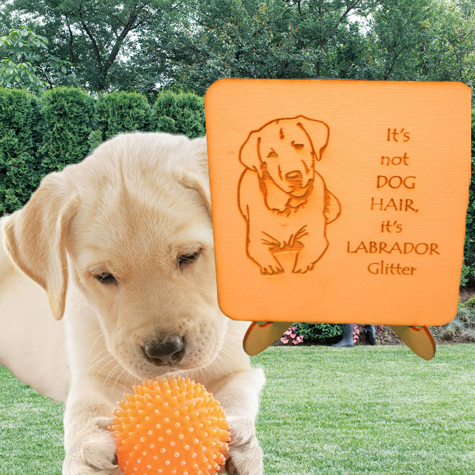 Pet Coasters - Labrador