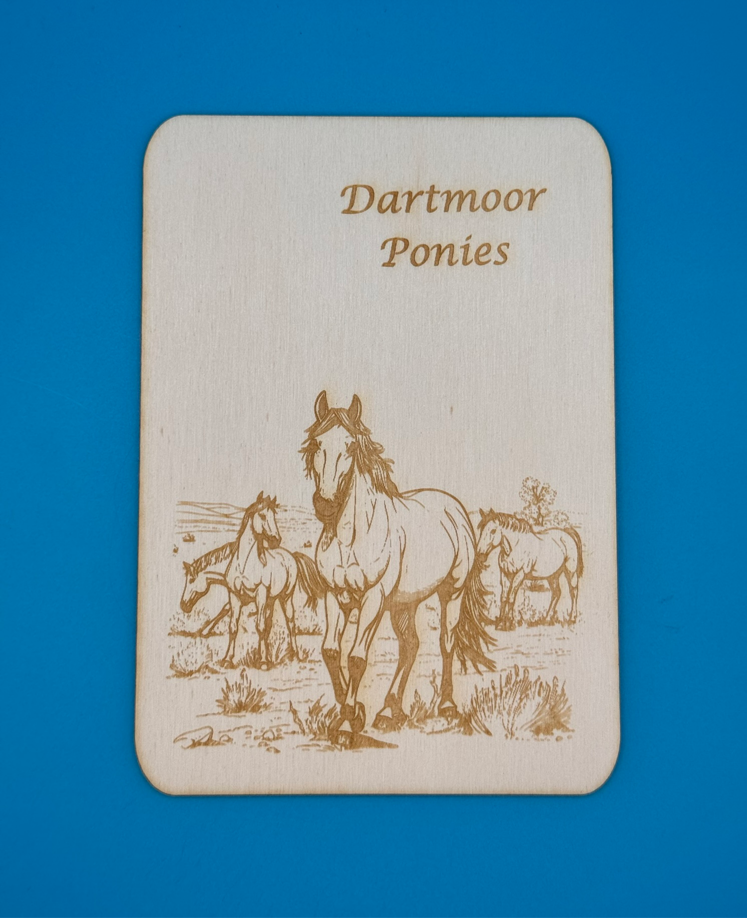 Greetings Postcard From - Dartmoor Ponies