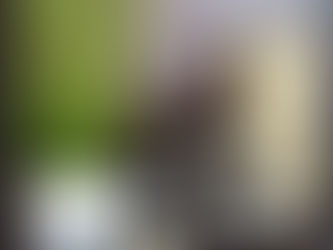 Transform Your Hair with IR Hair Care Products by Intelligent Remedies