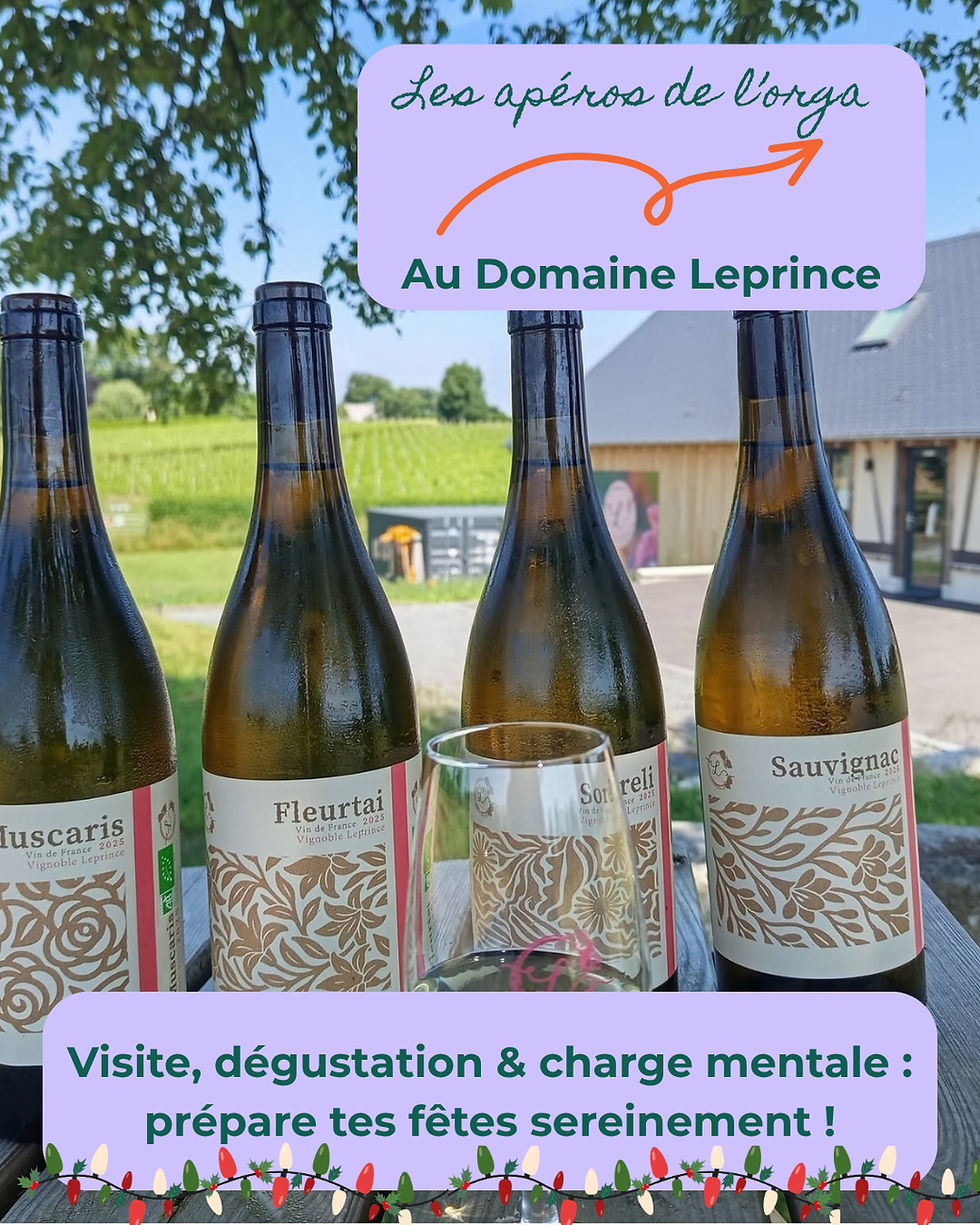 Apéro de l'orga X Domaine le Prince