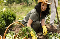 senior-woman-caring-crops (1).jpg