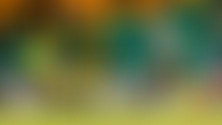 Stags Clinch Five-Star Victory Over Young Lions