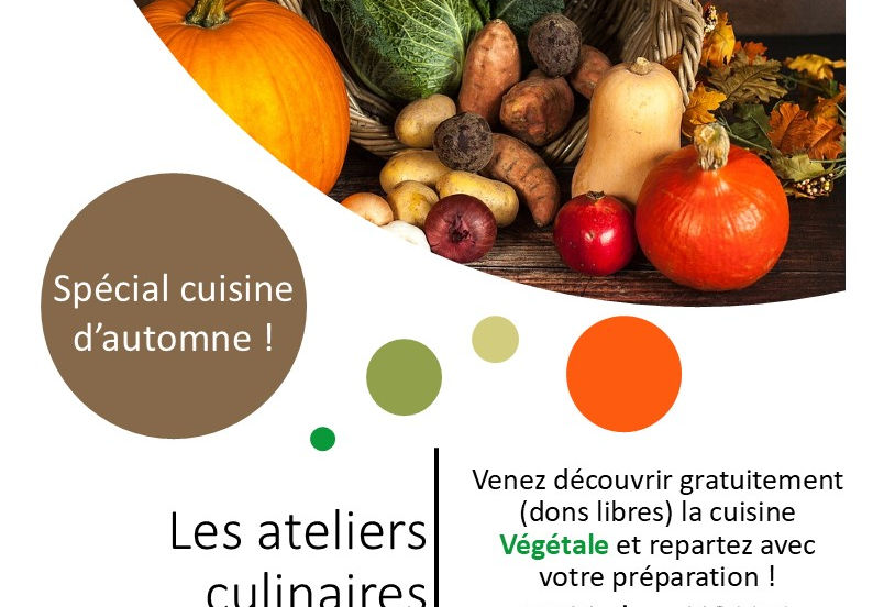 Atelier YOUPI d'octobre 2024 !