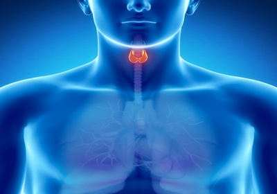 thyroide.png