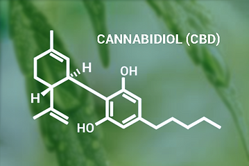cannabidiol-cannabidiolo.png