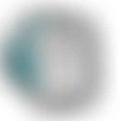 Camera AI for waste audits