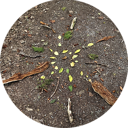 Osterburg_Wald_Landart.png