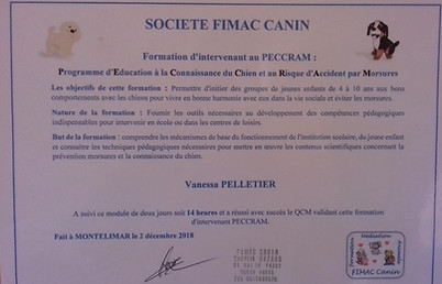 peccram 1vie2chiens certificat