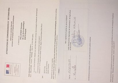 1vie2chiens éducateurcanin comportementaliste var 83 gorges du verdon diplomes et certificat