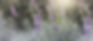AdobeStock_536137879.jpg