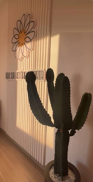 WhatsApp Image 2025-04-02 at 11.31.08.jpeg