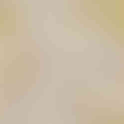 ABSTRACT FLORAL DESIGN