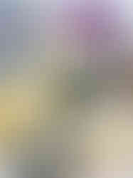 PAPER: Artwork - Painted swatches from the Joan Charnley Archive