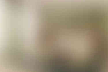 FABRIC | Soho House Headboard bespoke wovens. 
1 of 3 designs