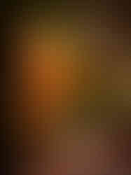 STORY: Antique Sourcing