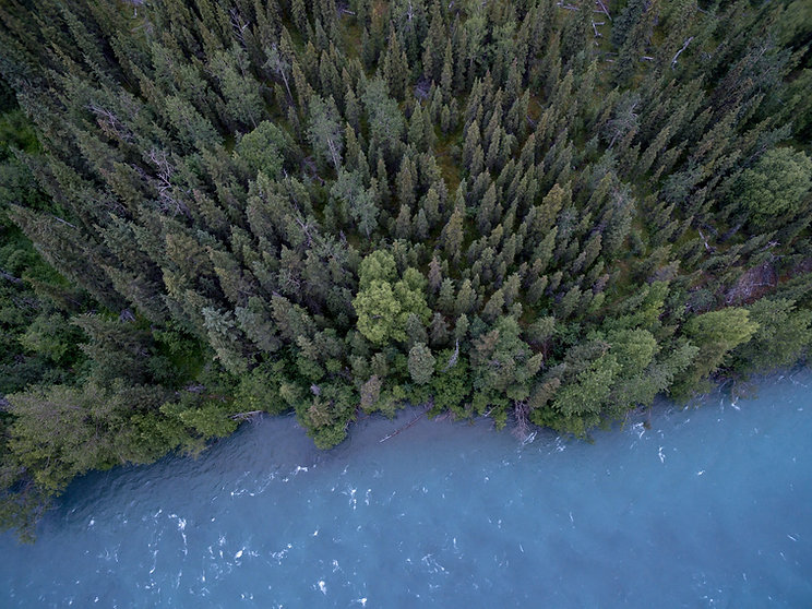 ENVIRONMENTAL CONTRACT OPERATIONS