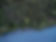 Foto aérea de uma floresta