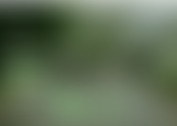 GIVE BACK SERIES, March: Small Business Owners 