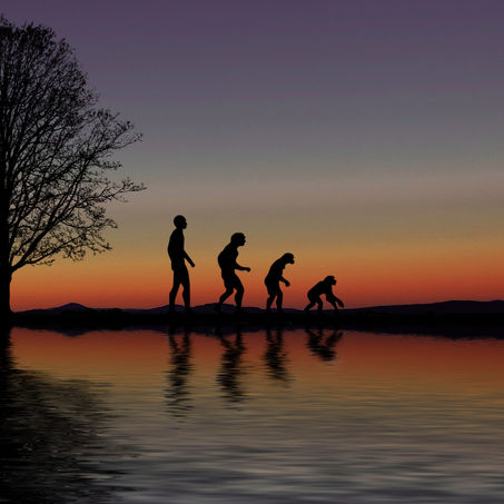 Back to Basics: Reversing character’s evolution in Science Fiction